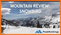 Snowbird related image