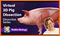 Visible Biology related image