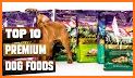 Dog Safe Foods (Premium) related image