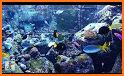 Aquarium Gold Blue Fish Theme related image