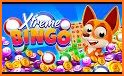 Xtreme Bingo! Slots Bingo Game related image