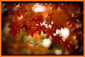 Autumn Wallpaper related image