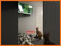 RunCat related image