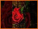 Red Rose Live Wallpapers Themes related image