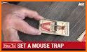 Mouse Trap related image