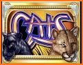 Wild Cats Slot Machine related image