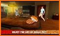 Home Cat Survival Simulator 3D related image