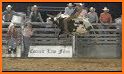 Mechanical Bull Rodeo related image