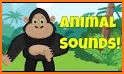 Mini Zoo: Kids and Magical Animal Voice Assistant related image