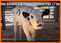 Animal sounds baby 2019 related image