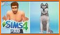 A Day With My Pet - Dogs & Cats Games related image