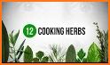 Herbs Guide related image
