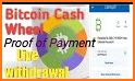 Bitcoin Cash Wheel related image