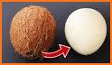 Coconut related image
