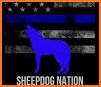 Sheepdog Nation related image