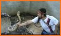 Snake Video : Made In India With ❤ related image