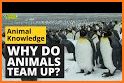 How do Animals Work? related image