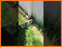 Maze Grass Cutter related image