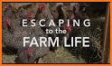 Farm Ranch Escape City related image