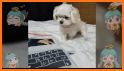 Fluffy Puppies Keyboard Theme related image