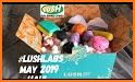 Lush Labs related image