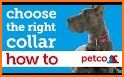 Best of Petco related image
