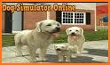 Dog Simulator related image