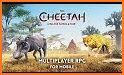Cheetah Simulator related image