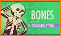 My Skeleton Anatomy related image