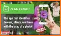 iSnap - Plant Identifier related image