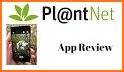 PlantNet Plant Identification related image