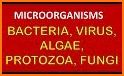 World of Microbes related image