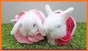 Cute Bunny Caring and Dressup related image