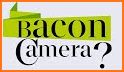 Bacon Camera related image