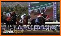 Watch Breeders Cup Live Streaming FREE related image
