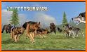 Wild Forest Survival: Animal Simulator related image