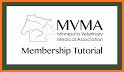 MVMA related image