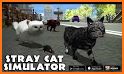 Kitty Stray Cat Simulator Game related image