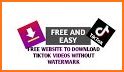 SSSTik Video Downloader No Watermark related image