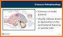 NIH Stroke Scale related image