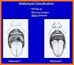 Morgan And Mikhail's Clinical Anesthesiology Cases related image