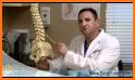 Deuk Spine Institute - Spine Health and Conditions related image