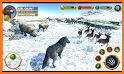 Virtual Arctic Wolf Family Sim related image