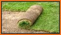 Grass Roll related image