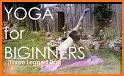 Down Dog: Great Yoga Anywhere related image