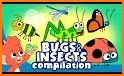 The Bugs I: Insects? related image