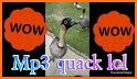 Mp3 Quack Music App related image