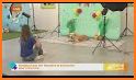 Kennelwood Pet Resorts related image