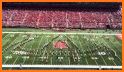 Scarlet Knights Light Show related image