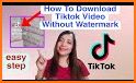 TikTok Downloader - Without Watermark related image